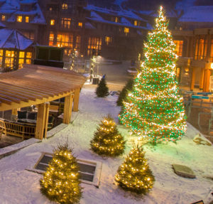 Image of Spruce Peak in the evening with Christmas tree at right and snow covered ground