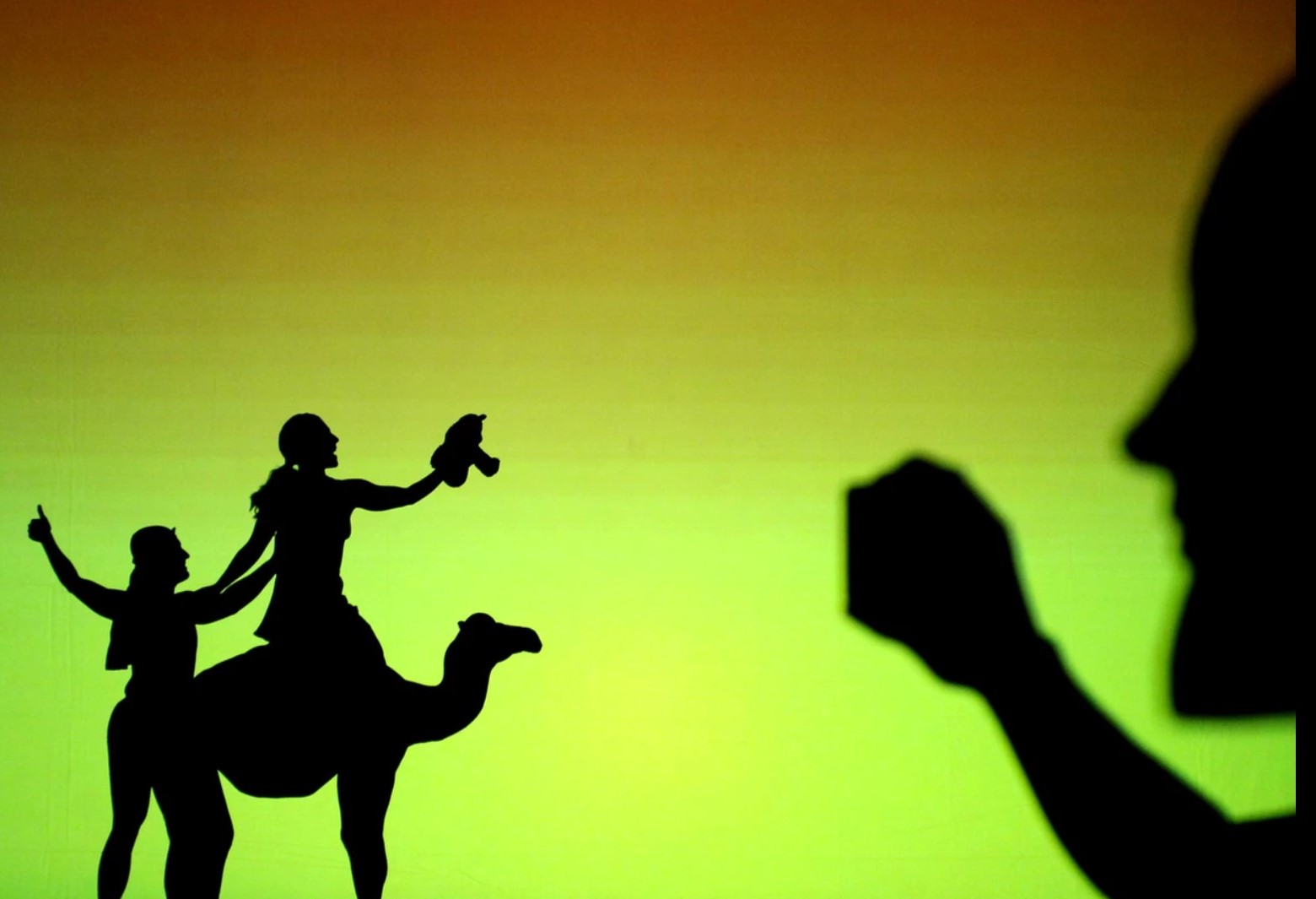 camel egytpian